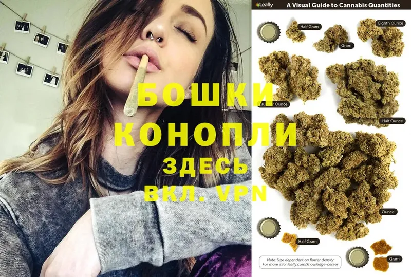 мориарти какой сайт  Ковров  Канабис Bruce Banner 